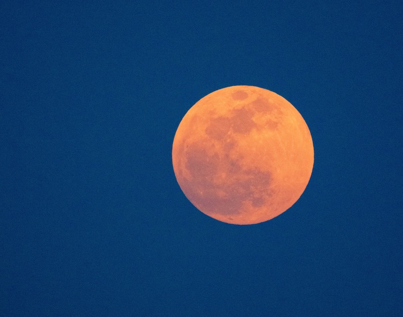 Фото CHUTTERSNAP on Unsplash