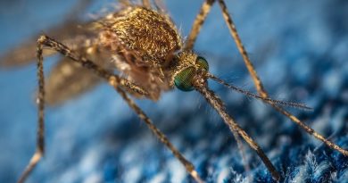 Фото Егор Камелев on Unsplash