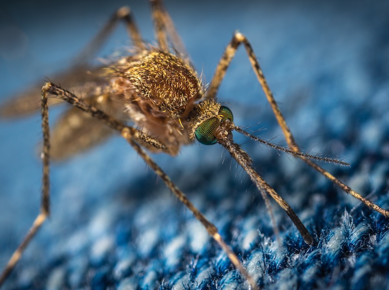 Фото Егор Камелев on Unsplash