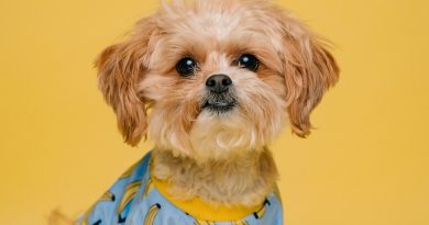 Фото Karsten Winegeart on Unsplash