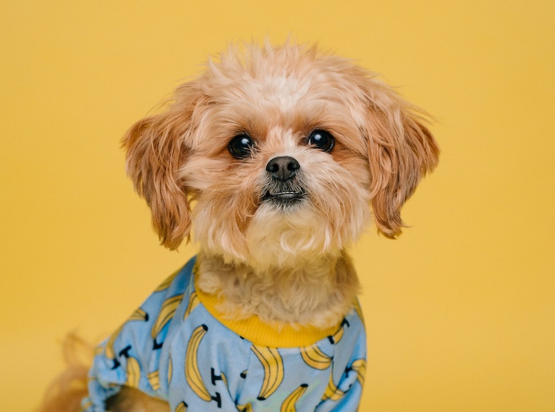 Фото Karsten Winegeart on Unsplash