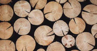 Фото Alexandre Jaquetoni on Unsplash