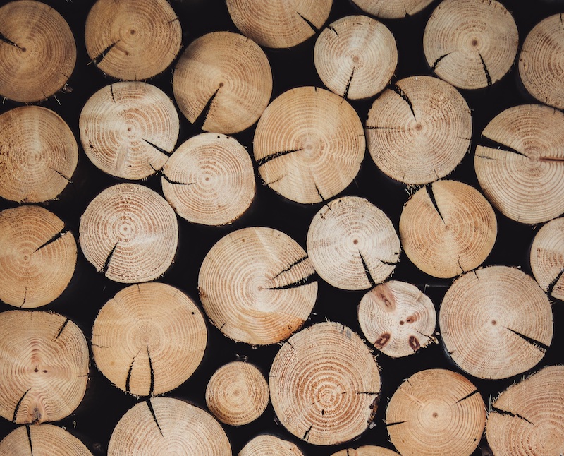 Фото Alexandre Jaquetoni on Unsplash