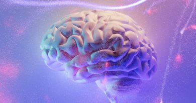 Фото Fakurian Design on Unsplash