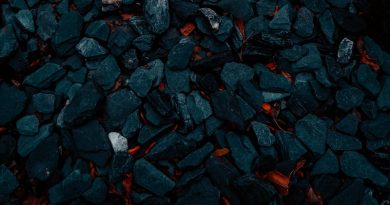 Фото Hunter So on Unsplash