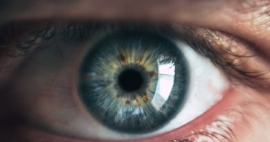 Фото Victor Freitas on Unsplash