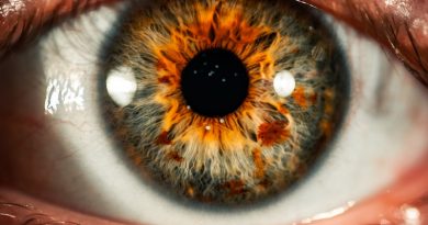 Фото Colin Lloyd on Unsplash