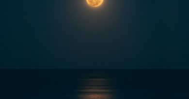 Фото Guzmán Barquín on Unsplash