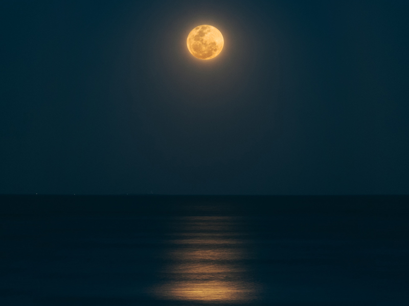 Фото Guzmán Barquín on Unsplash