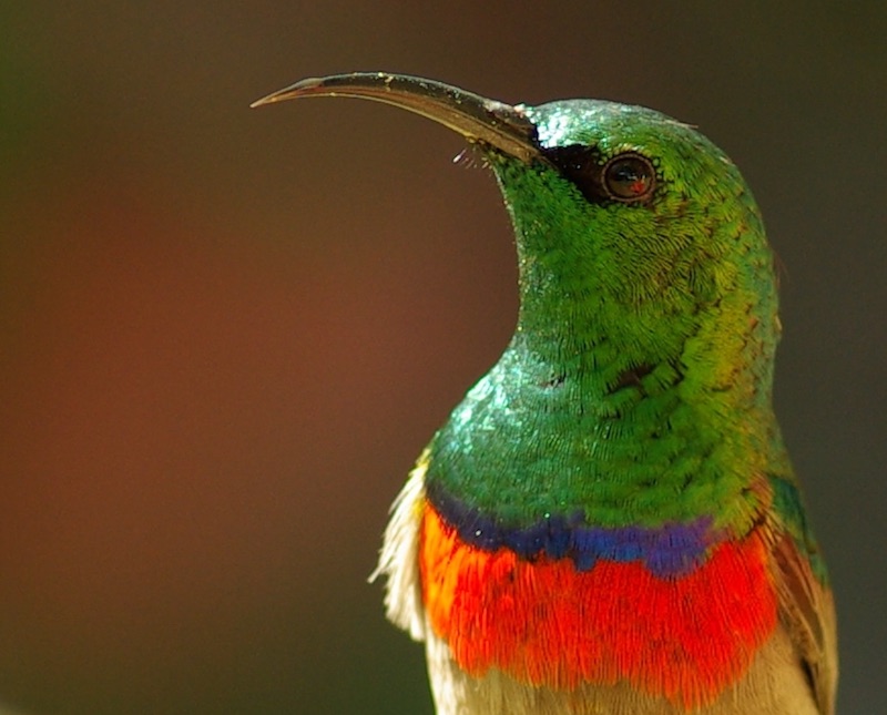 Фото Mikegoulding