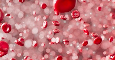 Фото ANIRUDH on Unsplash