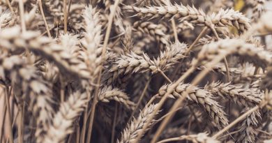 Фото Daniel Hansen on Unsplash
