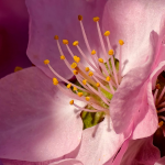 3db23d10645f7f3d4e94f162b4ed4204