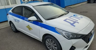 dps-mnye-migalki