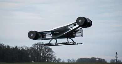 Blackbird