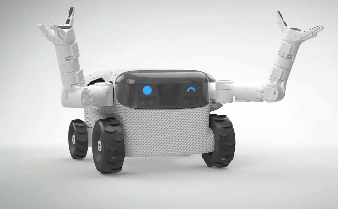 sadovyj-robot-willow-x-ot-eeve