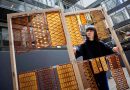 Живая архитектура: 3D-печать из дрожжей и биокомпонентов