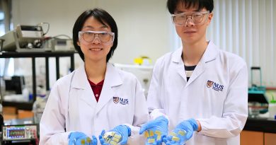 elektronnaya-kozha-singapur Учёные разработали «кожу», которая распознаёт повреждения и «лечит» себя