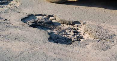 asfalt-na-osnove-vodoroslej