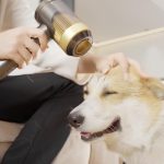 portativnyj-fen-hvsaio-2