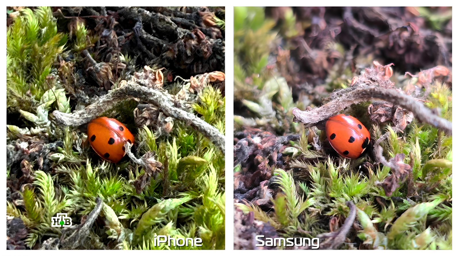 fototest-dlya-kamer-smartfonov