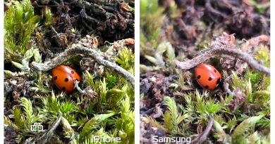 fototest-dlya-kamer-smartfonov