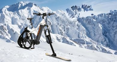 gibrid-velosipeda-iz-kitaya