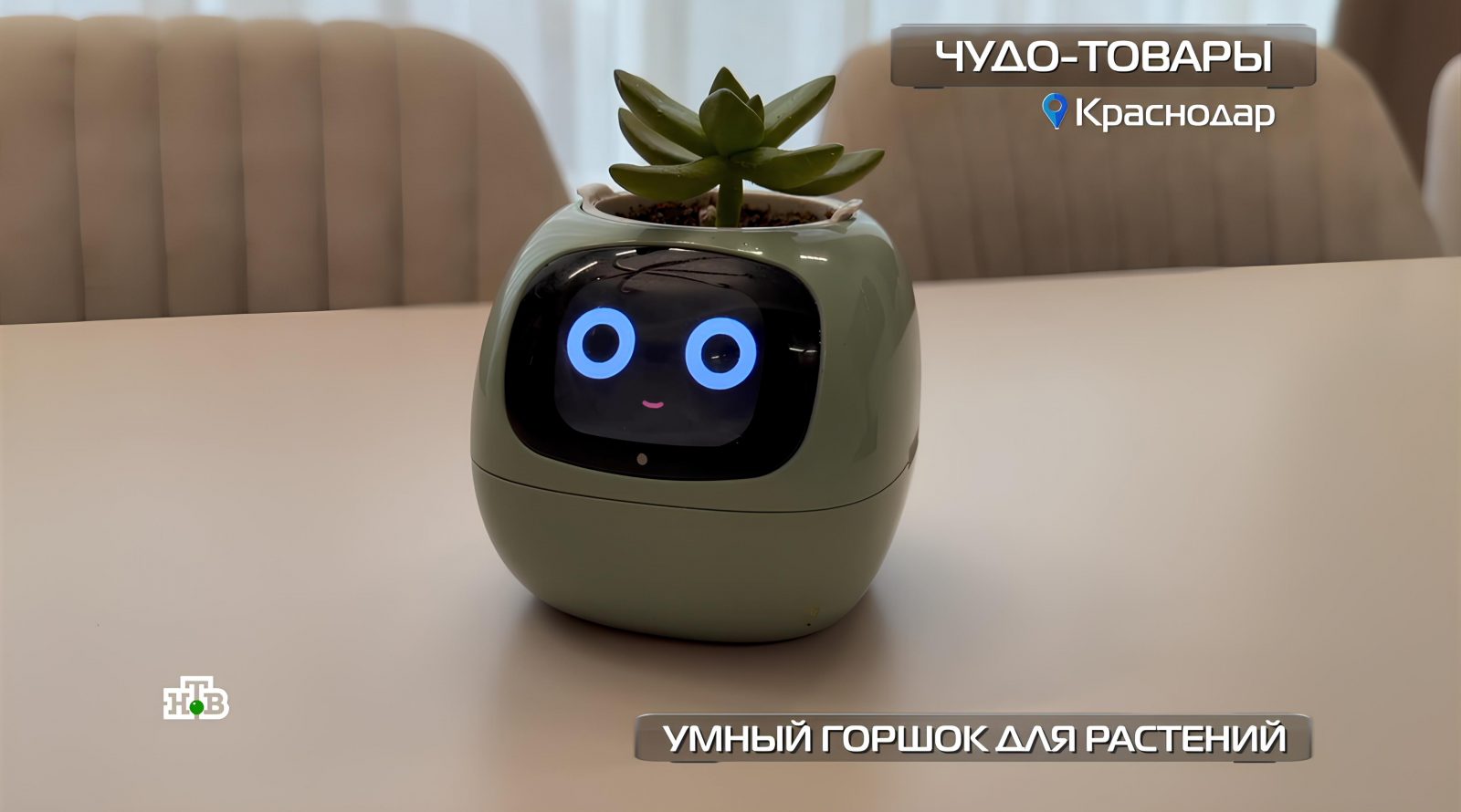 umnyj-gorshok-dlya-rastenij