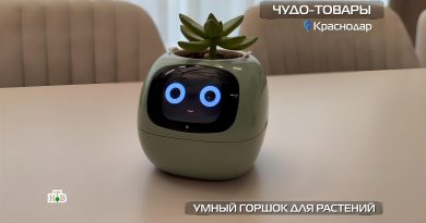 umnyj-gorshok-dlya-rastenij