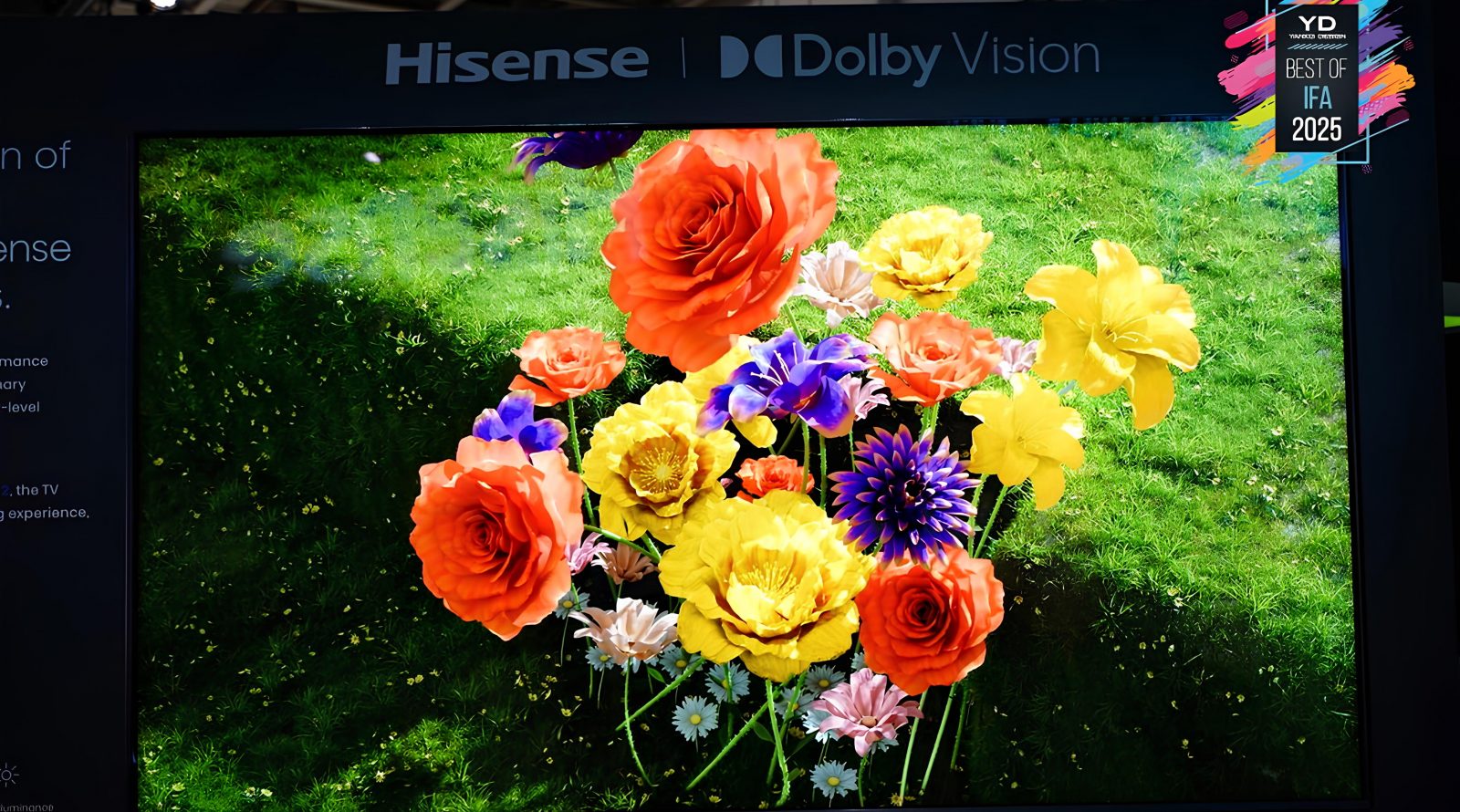 Hisense_116UX
