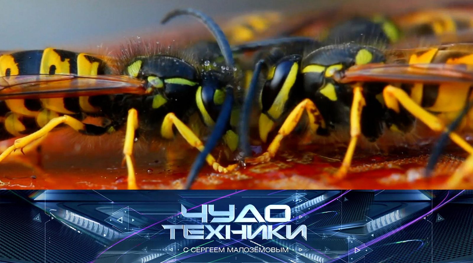 vypusk_chudo_tekhniki_14092025