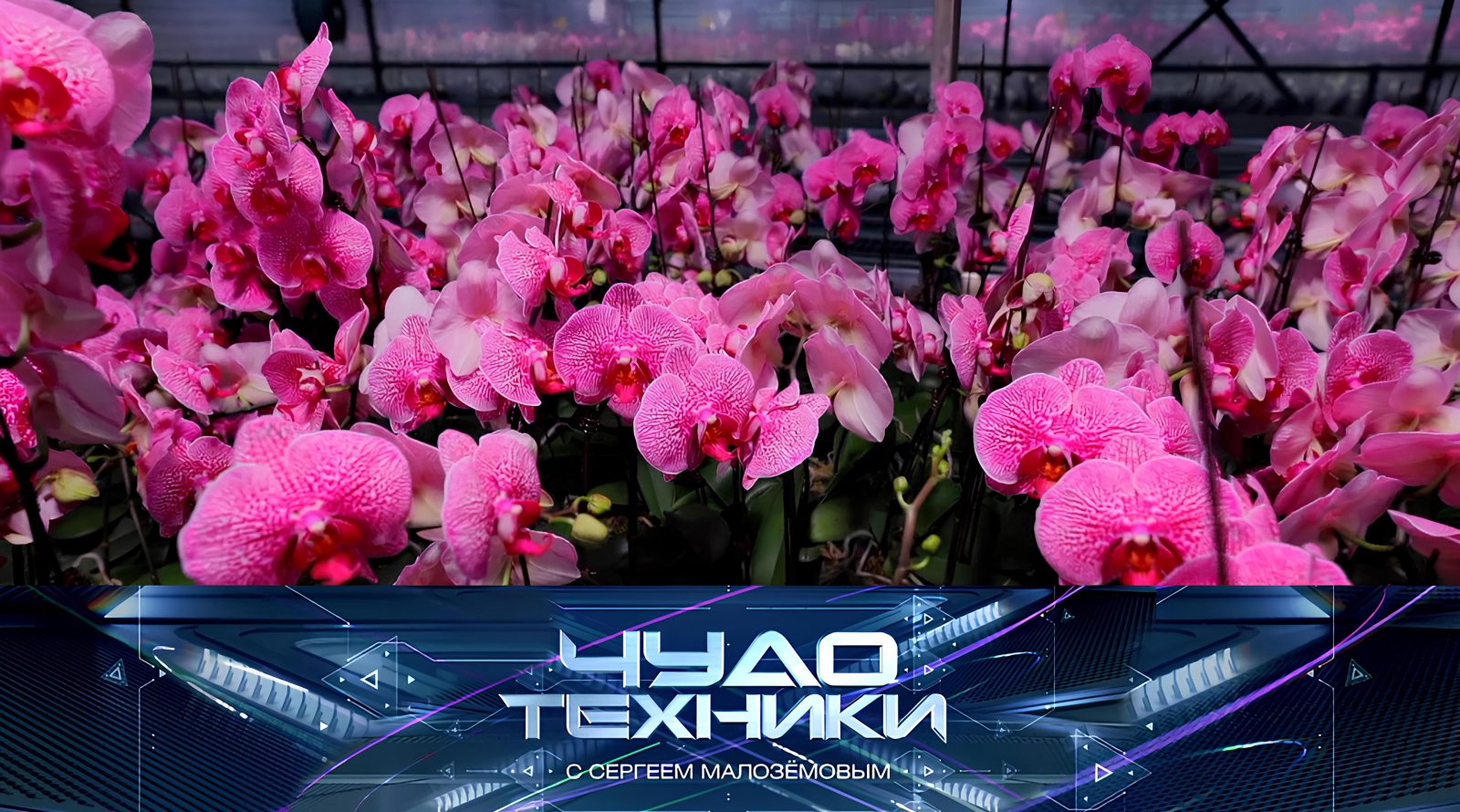 vypusk_chudo_tekhniki08032026