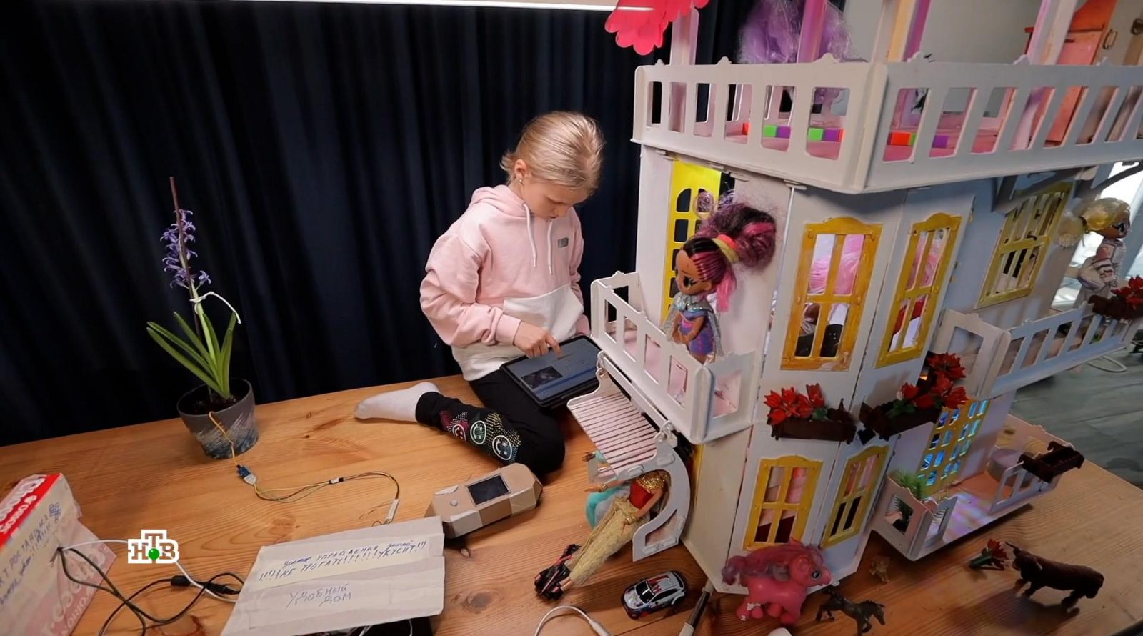 kukolnii-dom-dlya-vzroslih