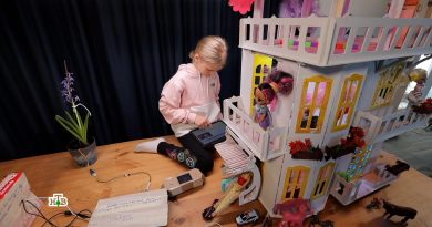 kukolnii-dom-dlya-vzroslih