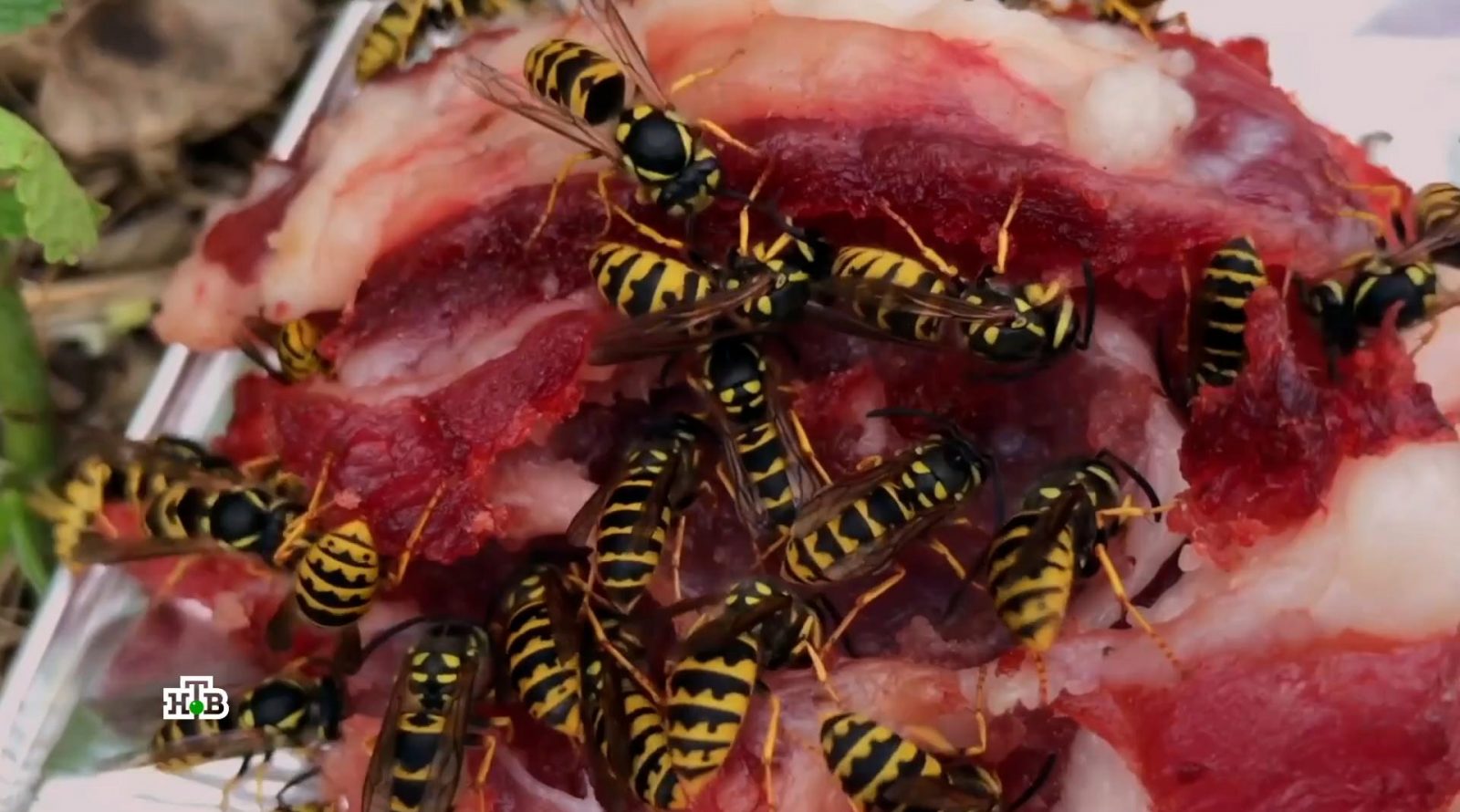 kak-izbavitsya-ot-os