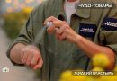 Обеззараживает и заживляет: тест эффективности жидкого пластыря