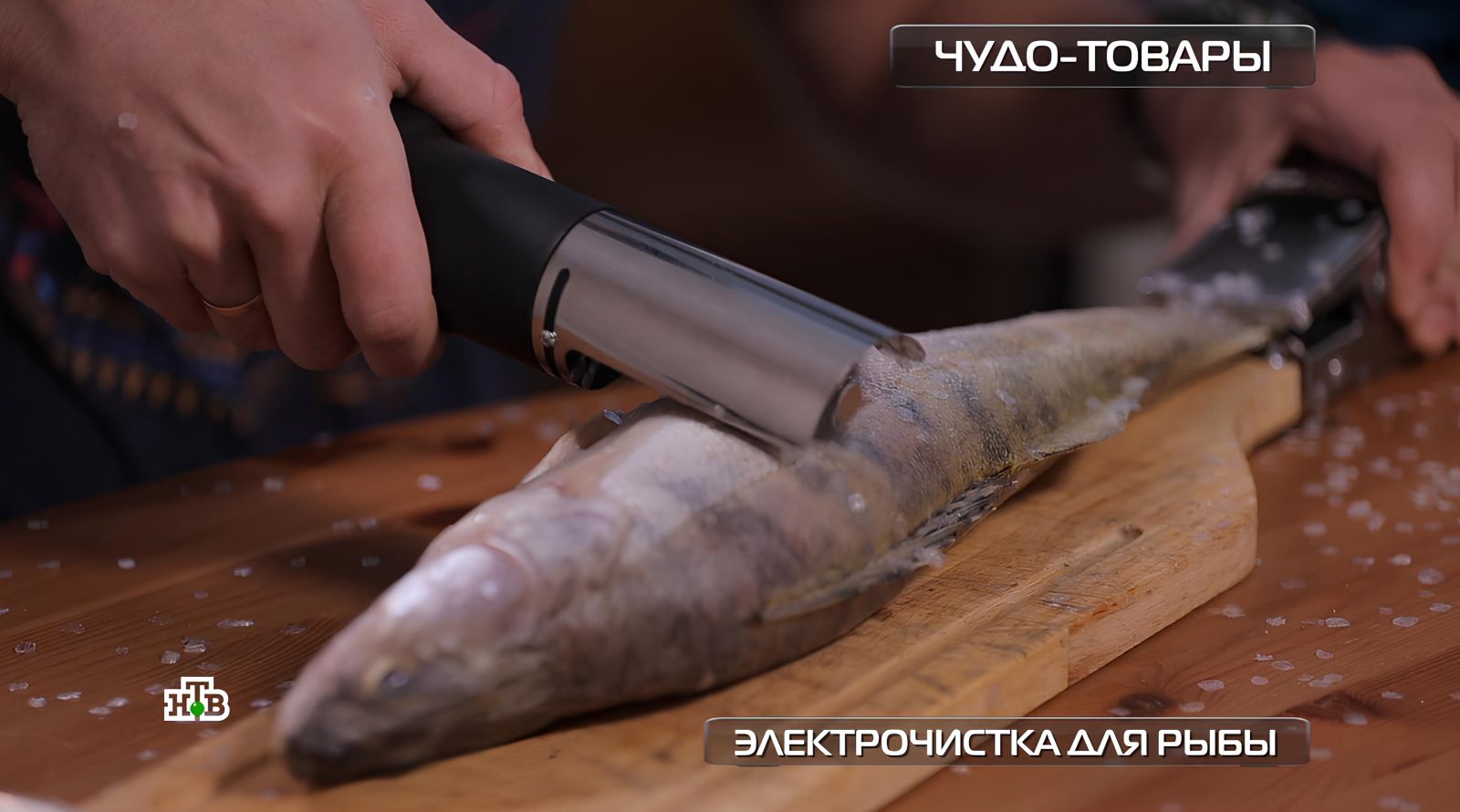 elektrochistka-dlya-ryby