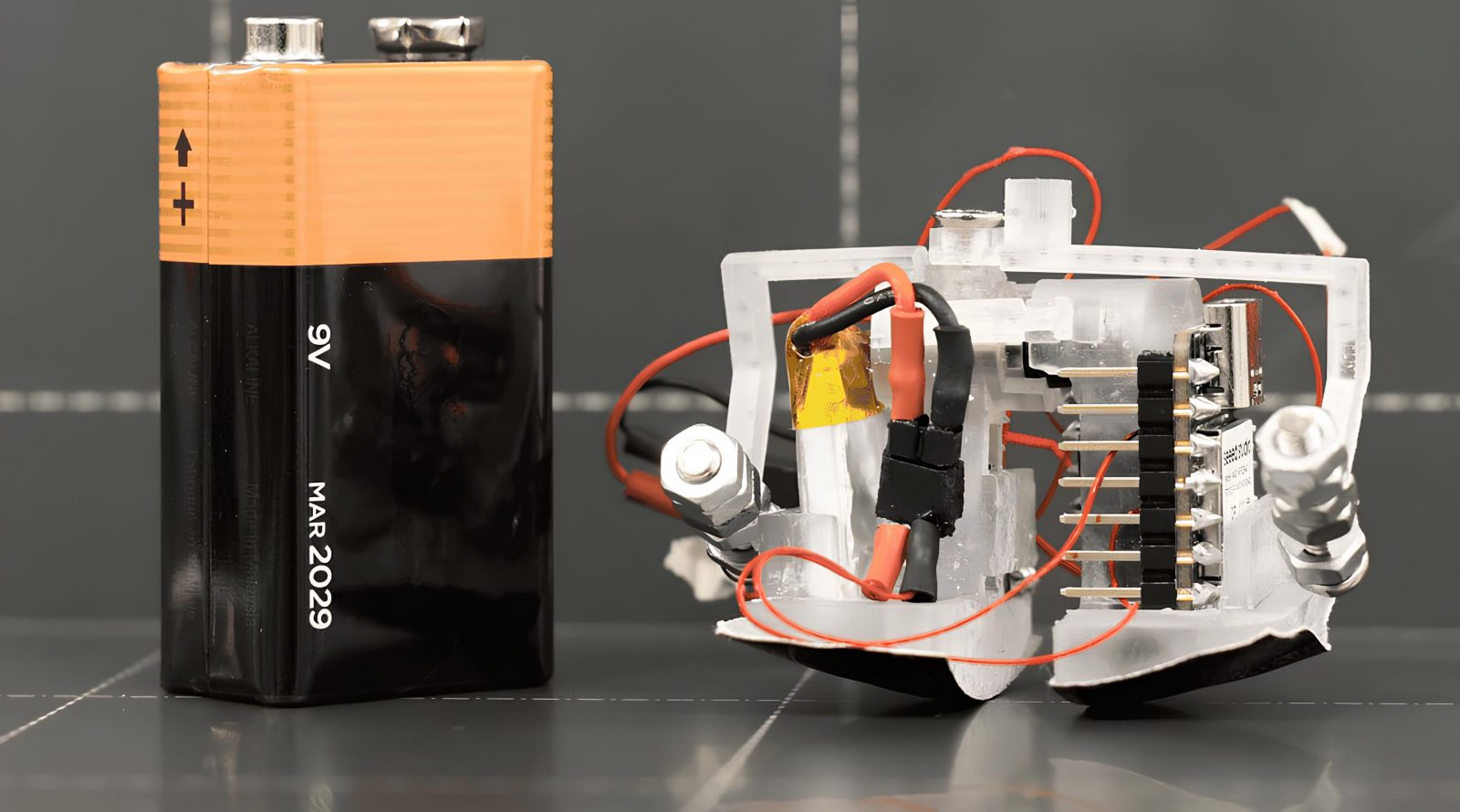 robot-razmerom-s-LEGO