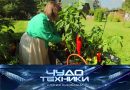 Выпуск программы «Чудо техники» от 14 июня 2026