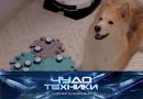 Выпуск программы «Чудо техники» от 21 июня 2026