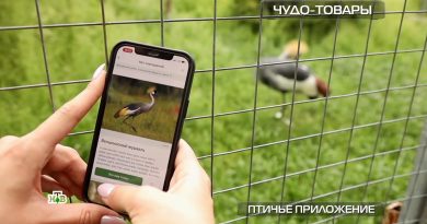 ptiche-prilozhenie