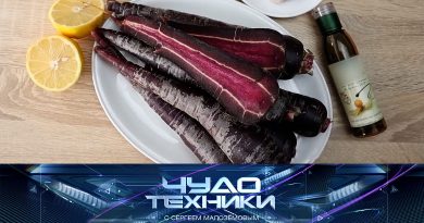 Vypusk programmy «Chudo tekhniki» ot 30 avgusta 2026 Выпуск программы «Чудо техники» от 30 августа 2026