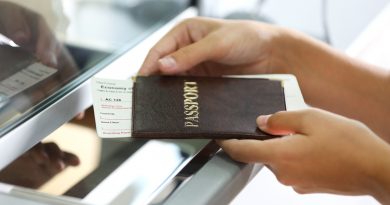 biometriyavaeroportah