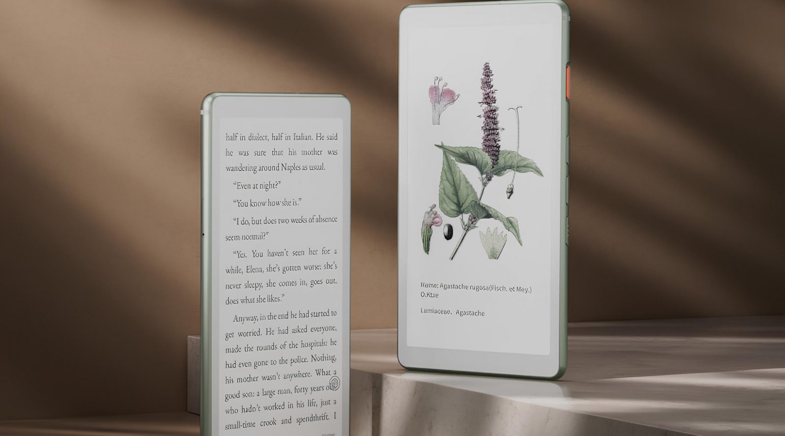 rider-viwoods-aipaper