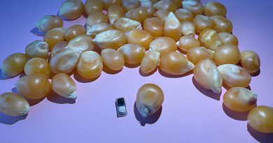 samyj-malenkij-v-mire-kardiostimulyator